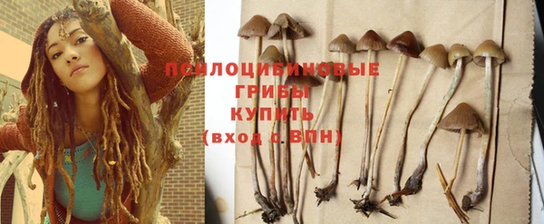 2c-b Алзамай