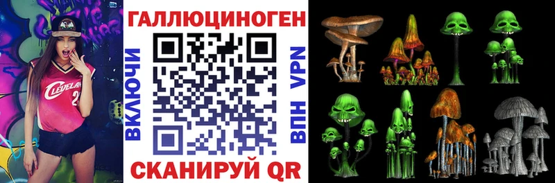 Галлюциногенные грибы прущие грибы  Тырныауз 
