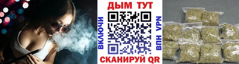 ссылка на мегу ТОР  Тырныауз  Каннабис план  купить  